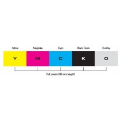 EVOLIS VBDG204EU Cintas Ribbon Color - EVOLISMEXICO